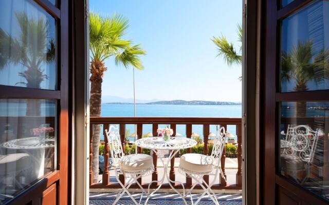 Rasim Palas (Adults Only +12)