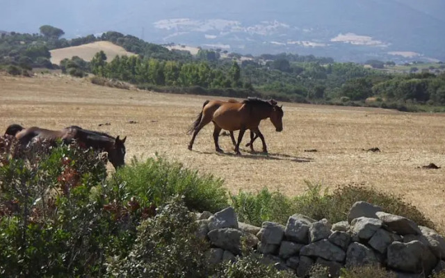 Turismo Rurale Cortes