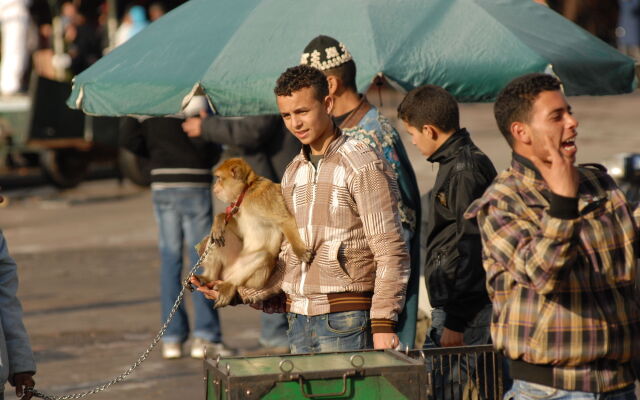 Riad Al Jana