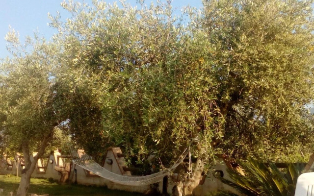 Guest House Casale 920