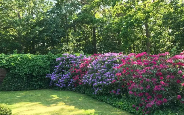 Hornbaek Bed & Breakfast at the Danish Riviera