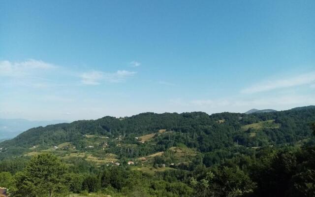 Pčelica L15 Milmari