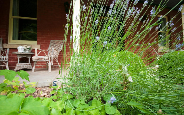 The Graces Beechworth