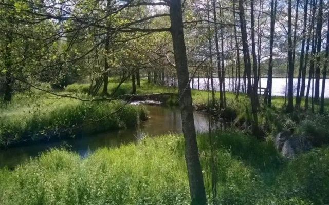 Lakefront Glamping w/ Pets