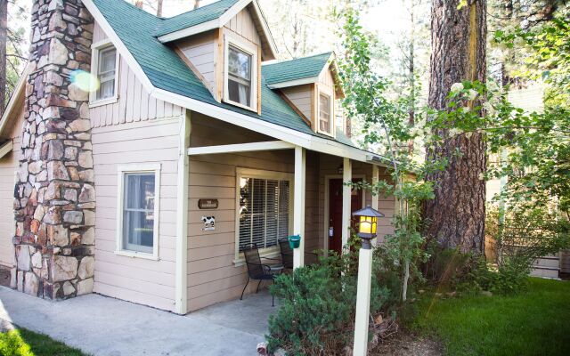 Sleepy Forest Cottages