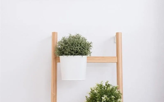 Pasiphae Hotel Malia