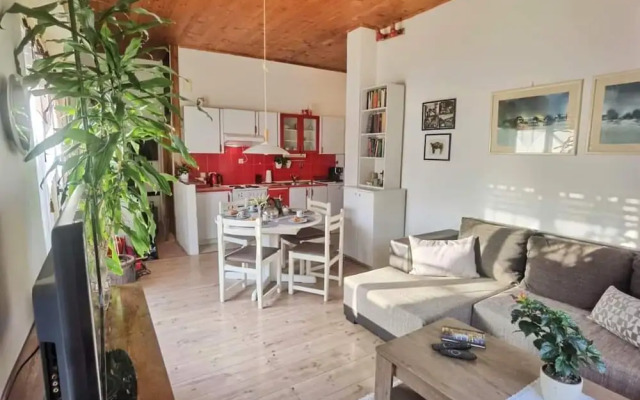 Charming Apartment Center Split Terrace & Parking