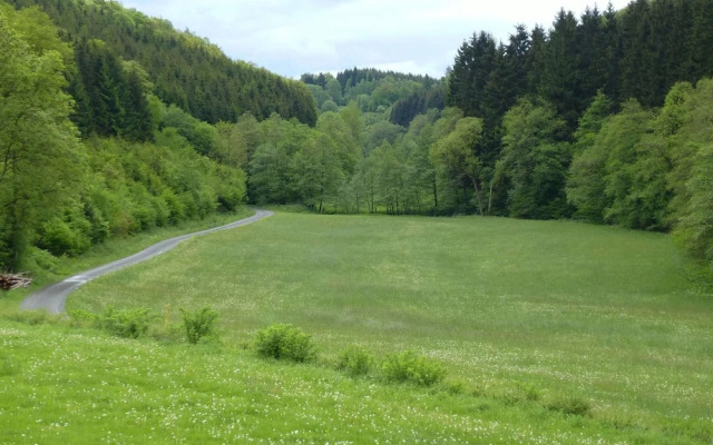 Holiday Home in Schmallenberg Near a ski Resort