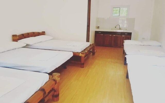 The Pelicans Castaway