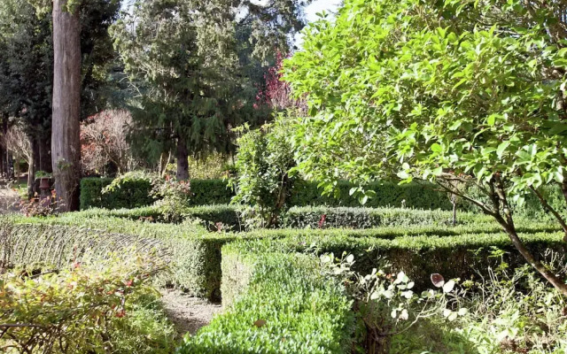 Pleasant Apartment With Swimming Pool,garden,bbq, Parking