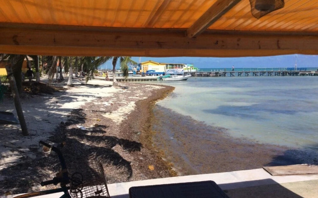 The Club At Caye Caulker