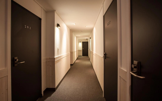 Petercat Hotel Sinchon Hongdae