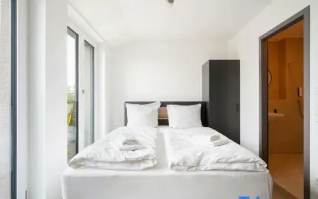 Homaris Kreuzberg 61