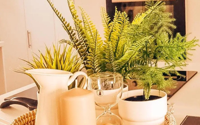 Newly Renovated Super-Chic Apartment