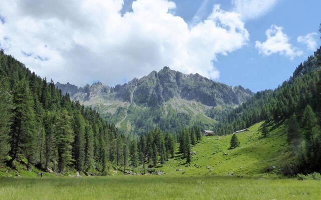 Wooden chalet in Pieve Tesino with garden
