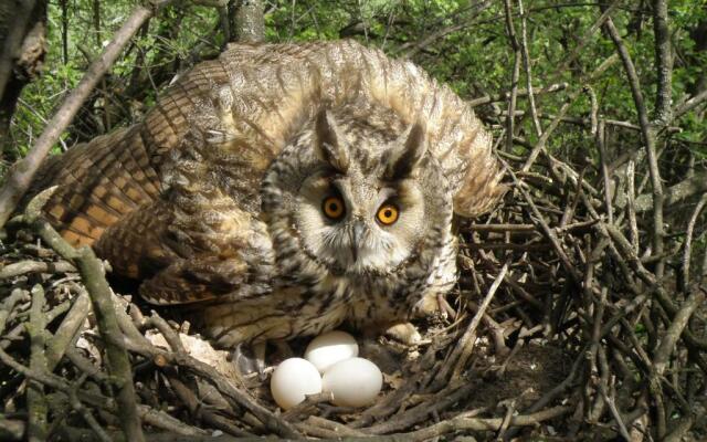 Hayat Guesthouse Nuratau Mountains