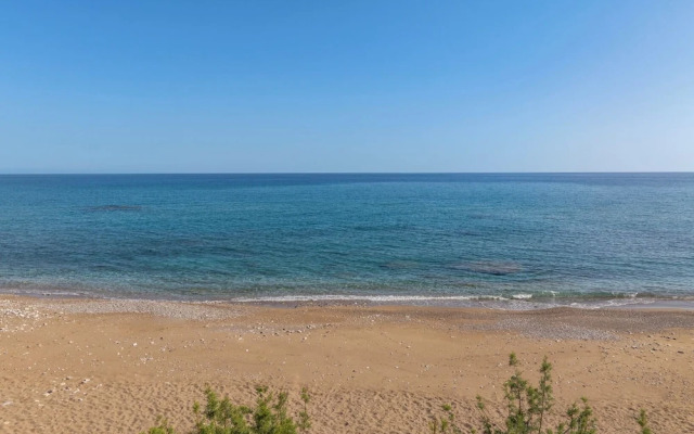 ammos stegna studios