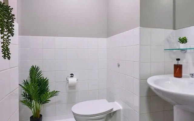 Student Only The Helix