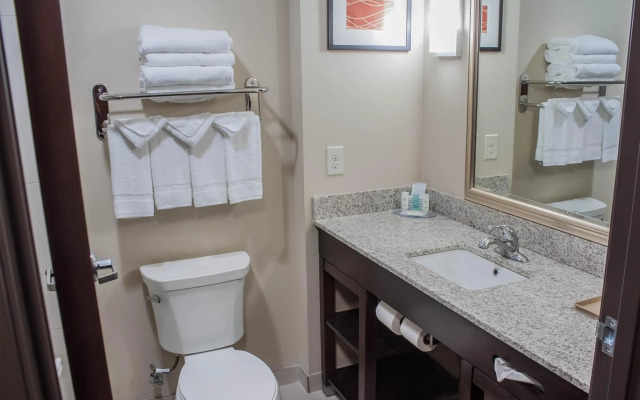 Comfort Inn & Suites Artesia
