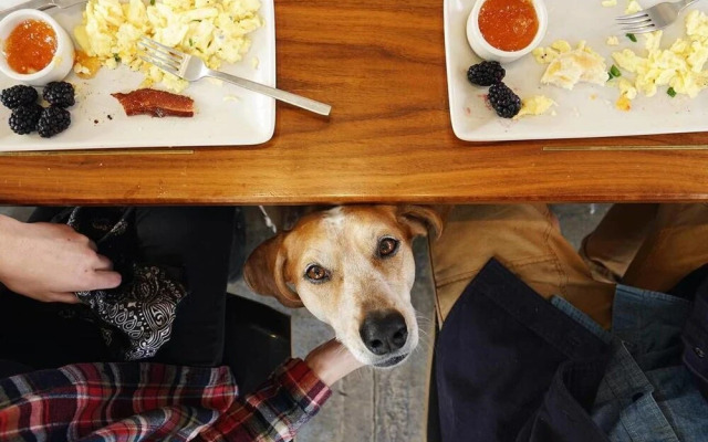 Modern 1BD Near Music Row and Downtown