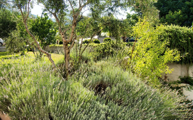 Villa Lavanda
