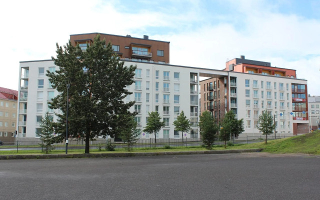 Tuomas´luxurious suites, Koivu