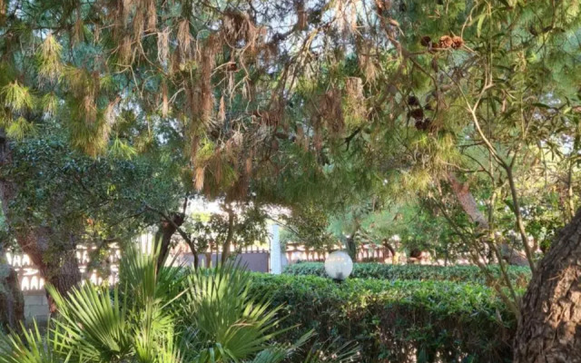 Villa Cino