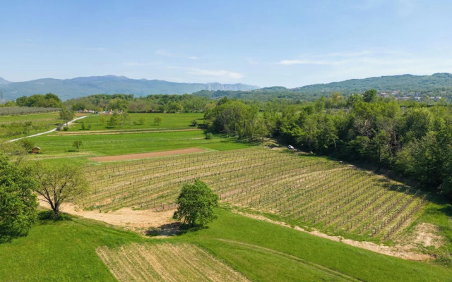 Tourist Farm Valic - Apartment and Winery