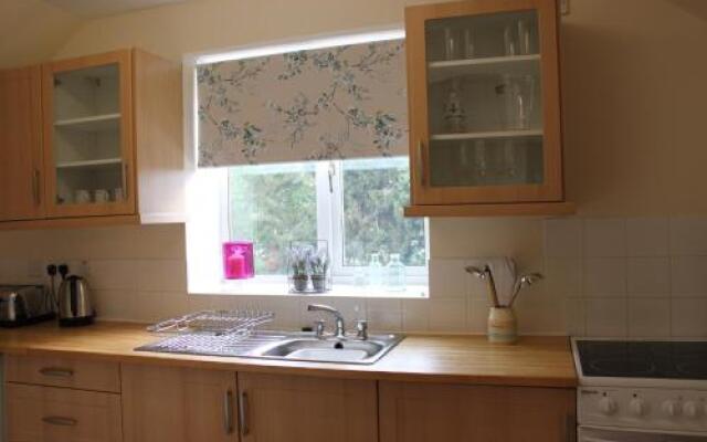 Druid House B&B