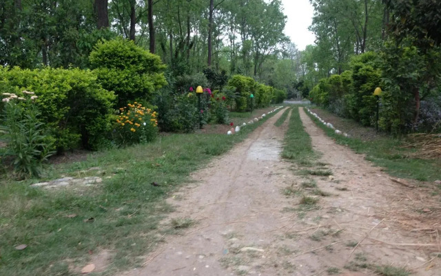 Suklaphanta Jungle Cottage
