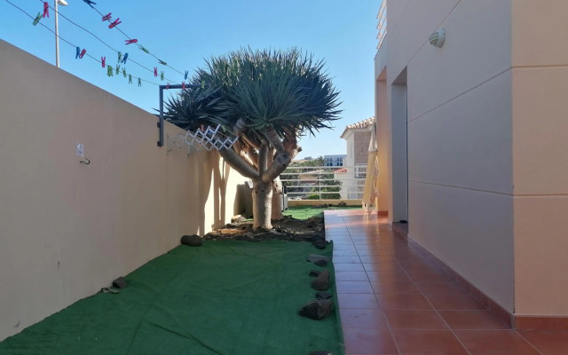 O DRAGOEIRO da Madalena!