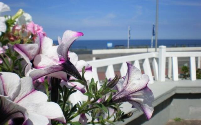 Beach Location Studio