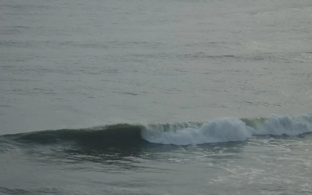 Gumnut Beach House Homestay