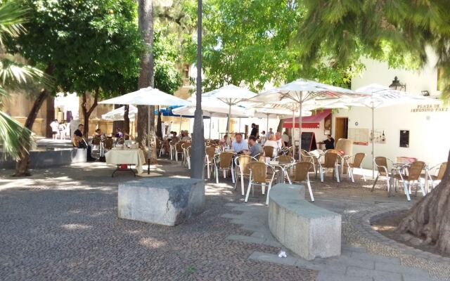 Casa Tipica Cordobesa en la Juderia