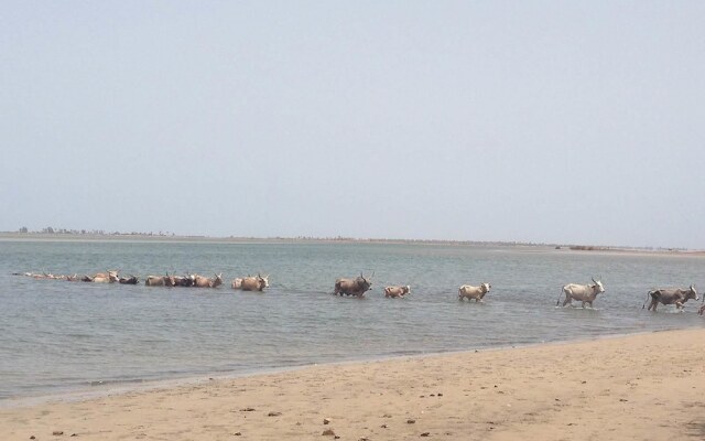 L'Ecolodge de Simal
