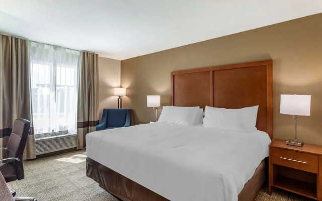 Comfort Inn And Suites Waller