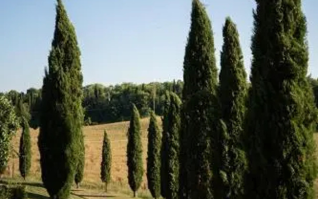 Villa Le Caggia