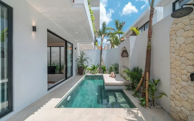 Nova Oasis 1