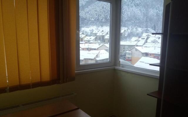Apartament Viorea