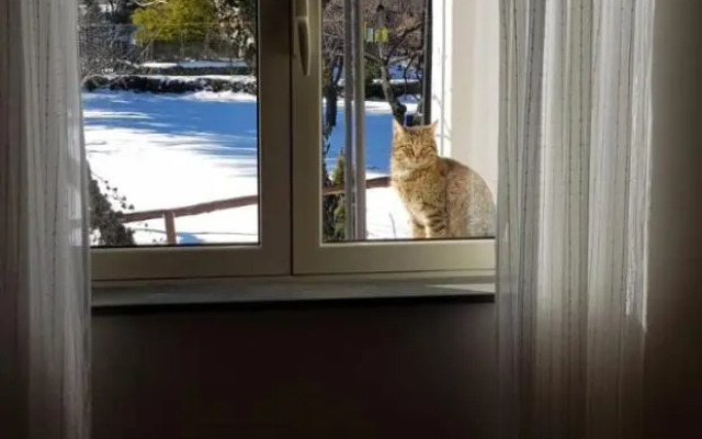 Etna, Salvia E Rosmarino