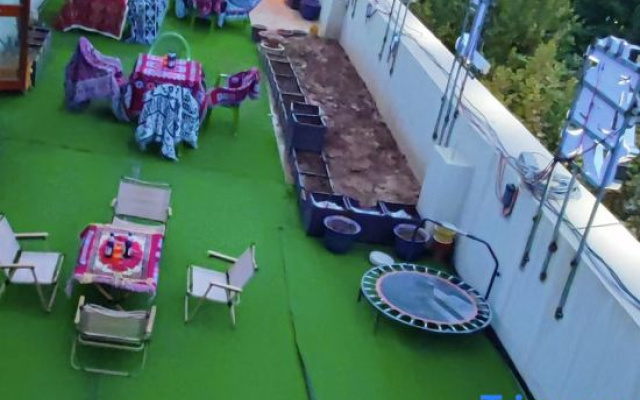 Kashgar  Adenium obesum B&B