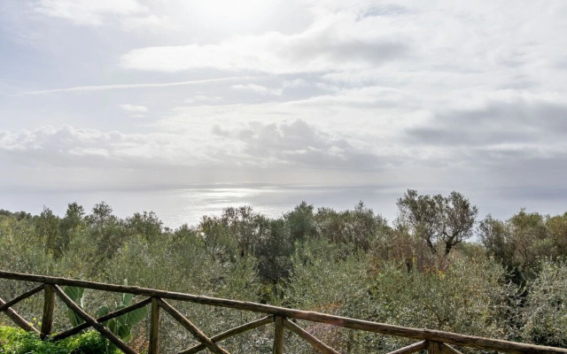 Simple Apartment in Massa Lubrense With Terrace