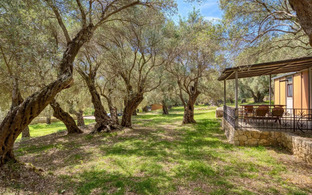 Stonehouse in Olives