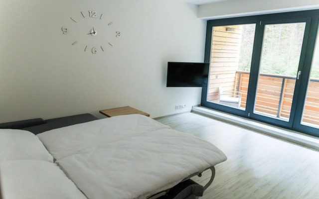 Apartment Mumlava Harrachov 5