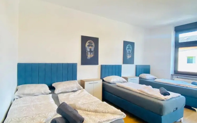 Spacious 4BR for 15 & 15 Min to Danube