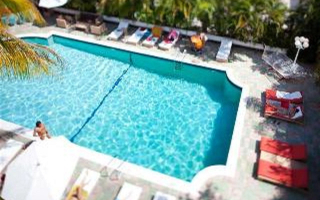 Dorchester Miami Beach Hotel & Suites