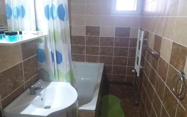 Apartament Viorea