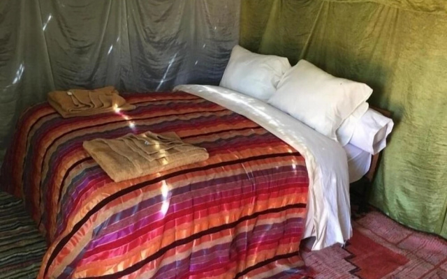 Sahara desert camp