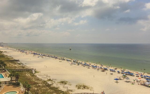 Shoalwater 903 by Youngs Suncoast