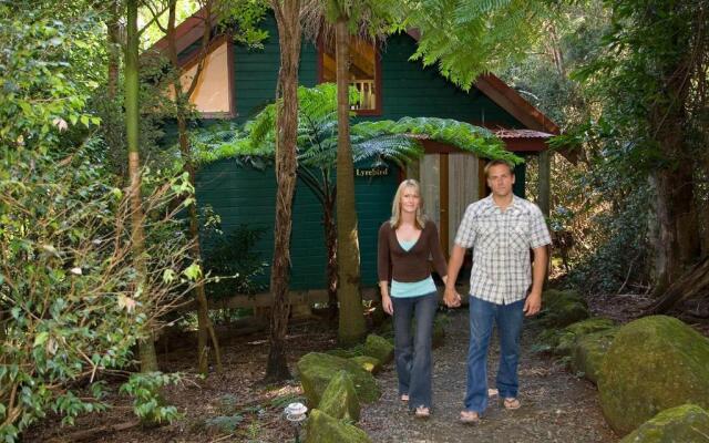 Springbrook Lyrebird Retreat